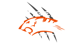 TigerTowing_Logo_Dark-BG